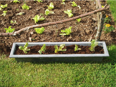 Lange rechthoekige plantenbak (Fresse in Frankrijk)